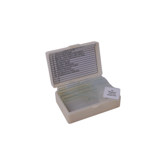 Bacteria slide Set of 12