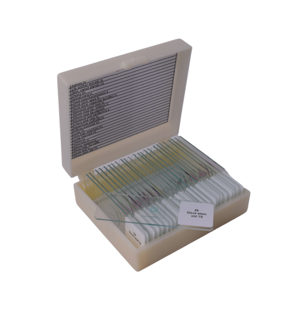 Basic GCSE slide set of 25