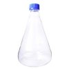 Erlenmeyer Flask - GL Neck