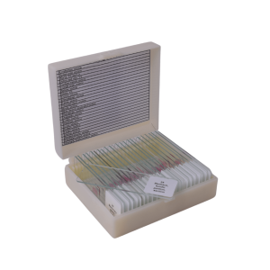 Human Histology slide set of 25