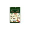 Invertebrates - Wall Chart