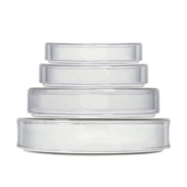 Petri Dish BoroBorosilicate 3.3 Glass