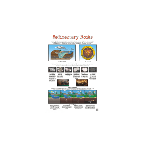 Sedimentary Rocks - Wall Chart