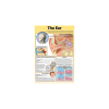 The Ear - Poster