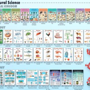 Vertebrates - Wall Chart